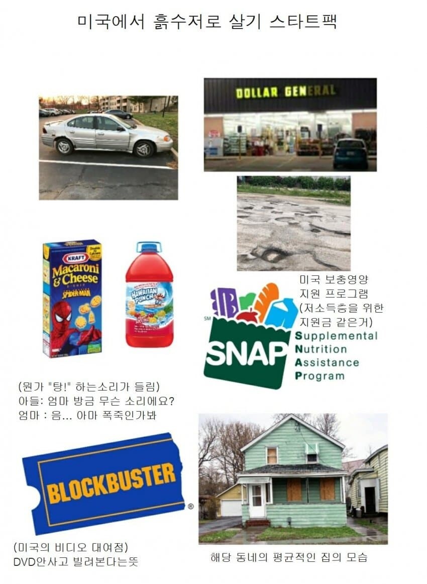 미국 밑바닥 인생 요약짤_1.jpg