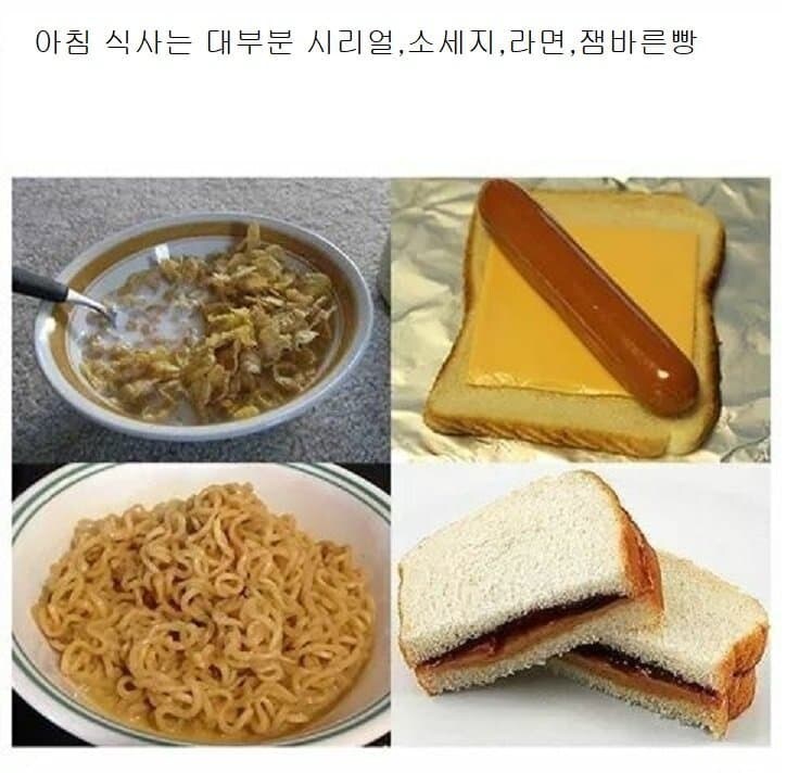 미국 밑바닥 인생 요약짤_4.jpg