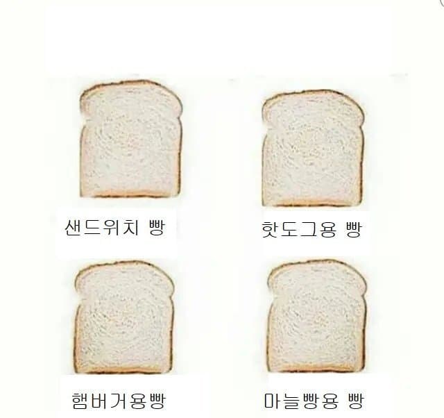 미국 밑바닥 인생 요약짤_5.jpg