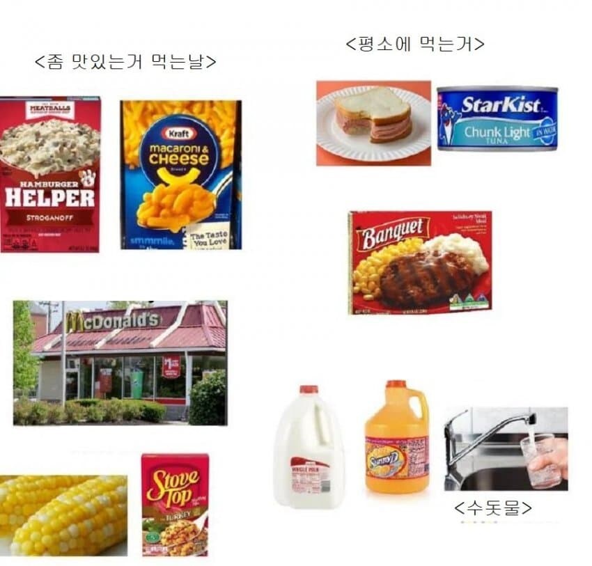 미국 밑바닥 인생 요약짤_9.jpg
