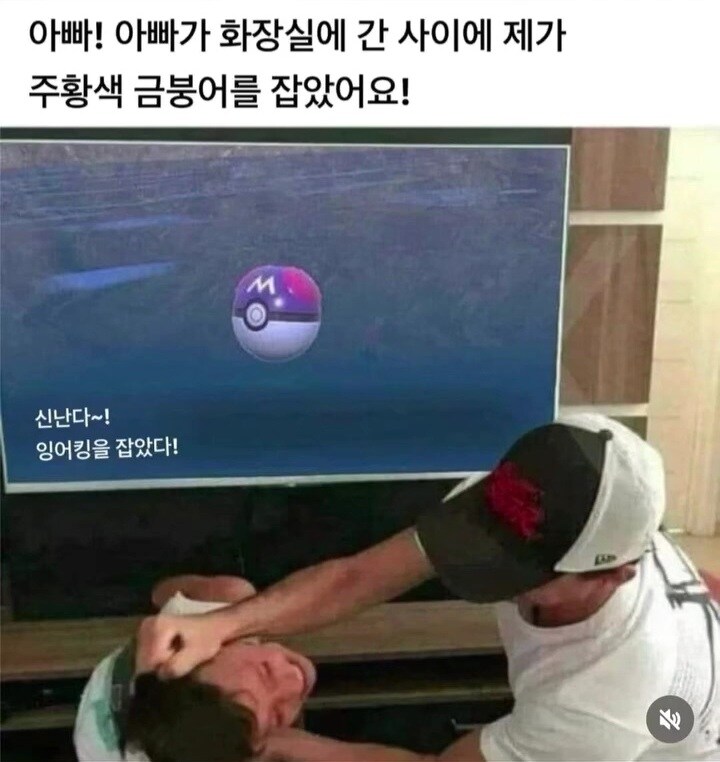 포켓몬스터로 효도를 한 아들.jpg_1.jpg