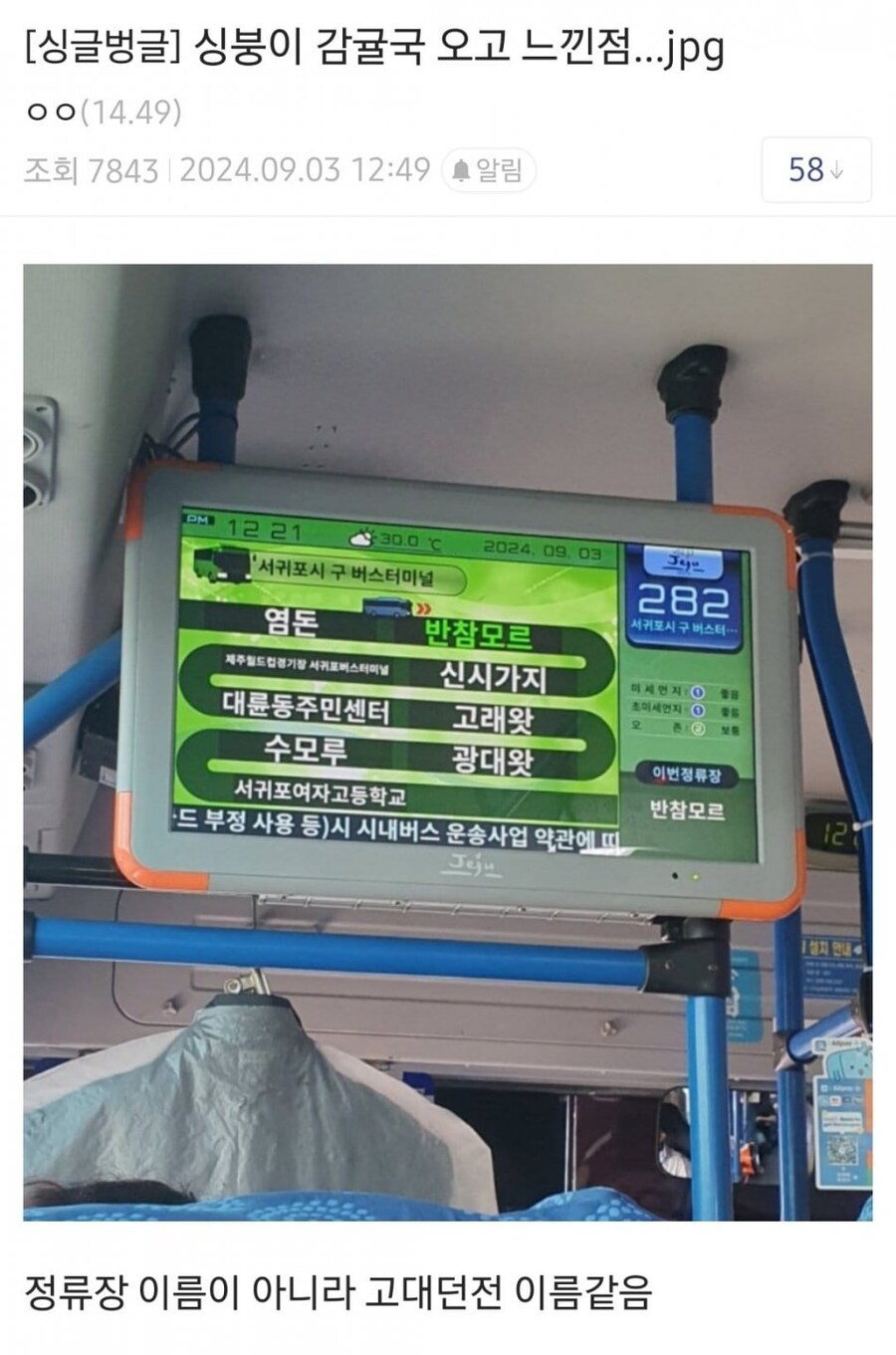 제주도로 이사오고 나서 느낀점_1.jpg