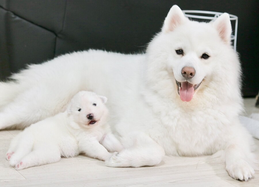 사모펀드 모자의 일년후.jpg_7.jpg