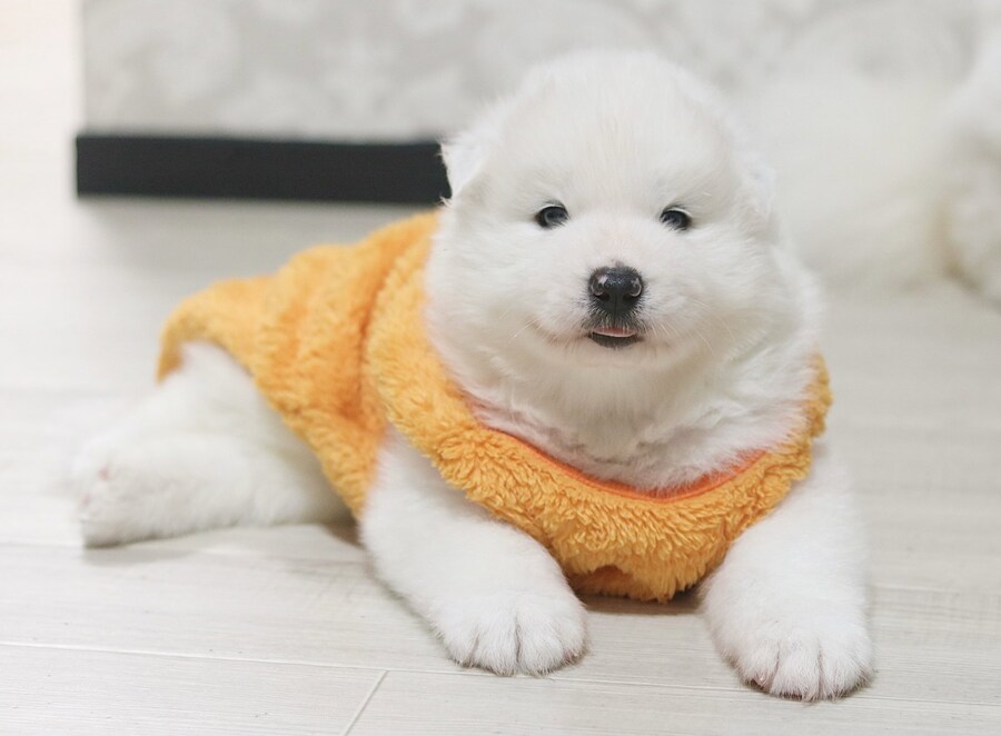 사모펀드 모자의 일년후.jpg_12.jpg