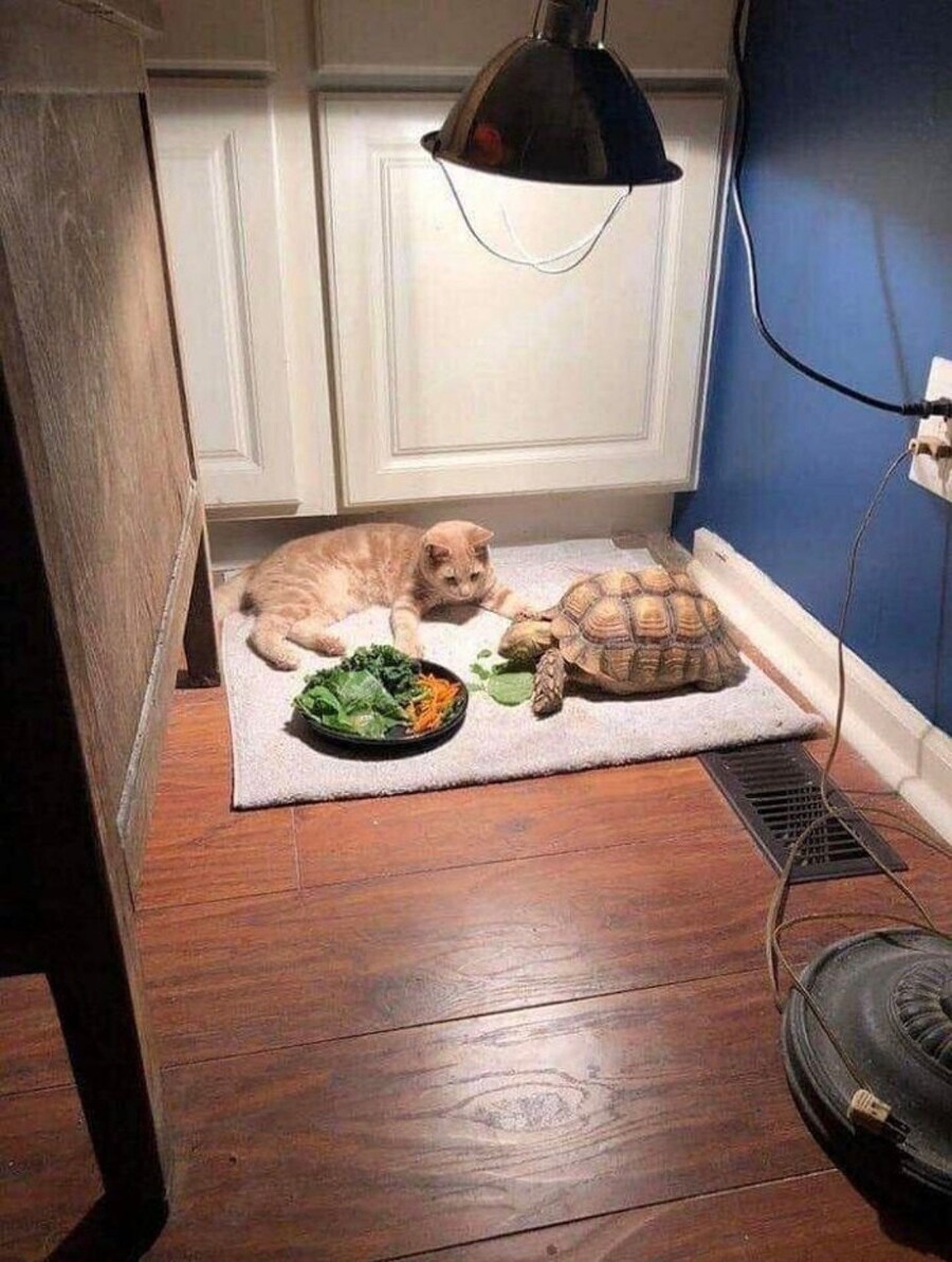 다먹음 나랑놀자아.jpg_1.jpg