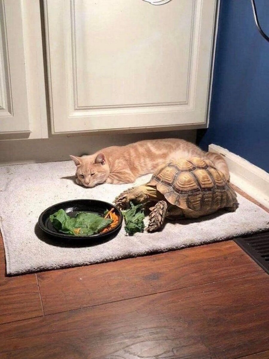 다먹음 나랑놀자아.jpg_2.jpg