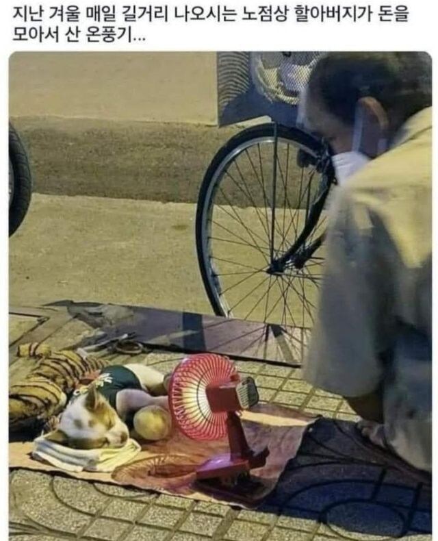 노점상 할아버지가 돈 모아서 산 물건.jpg_1.jpg