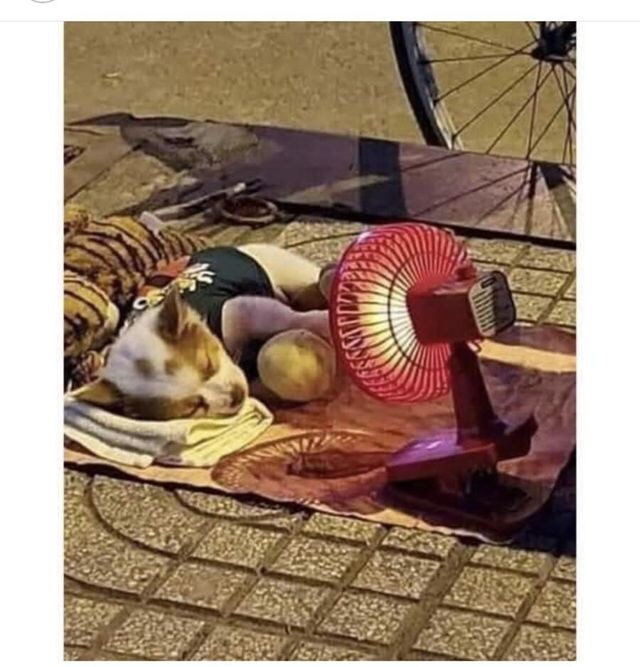 노점상 할아버지가 돈 모아서 산 물건.jpg_2.jpg