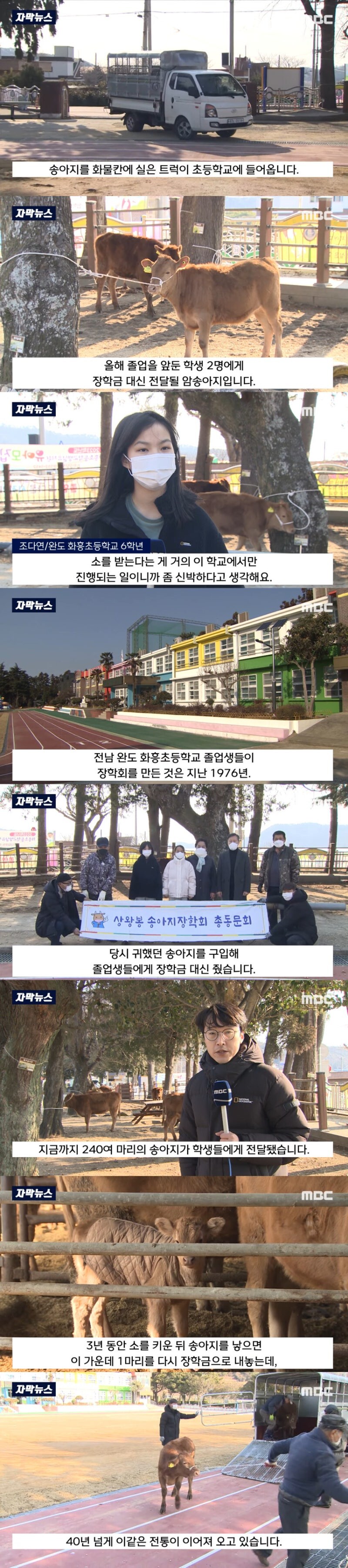 어느 시골 초등학교의 이색적인 졸업 선물.jpg_1.jpg