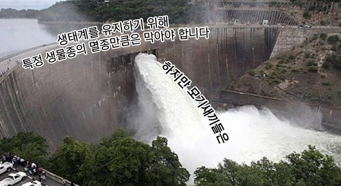 한 종을 인위적으로 멸종 시키는건 생태계 전체에 영향을 미치게 됩니다_1.jpg