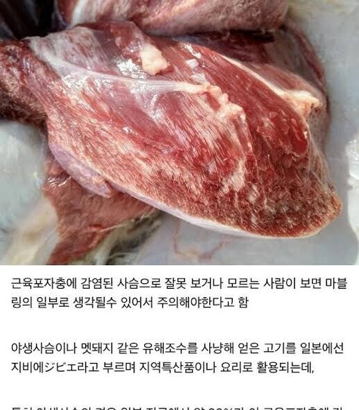 (약혐) 자연산 고기의 마블링_1.jpg
