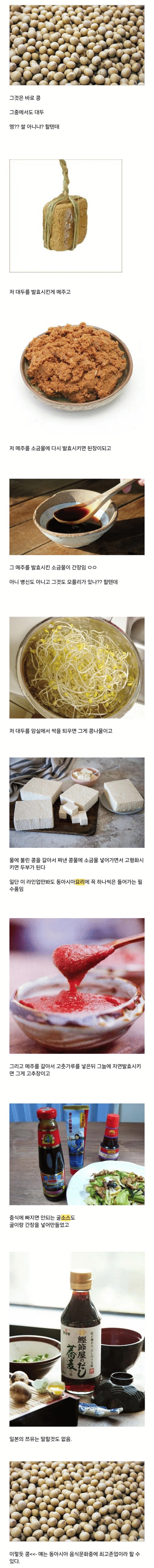 동아시아 최고 식재료_1.png
