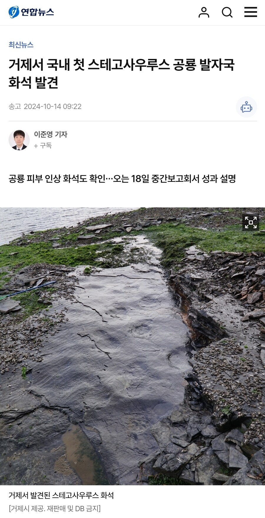 거제에서 스테고사우루스 발자국 나왔다니까 아들 반응_1.jpg