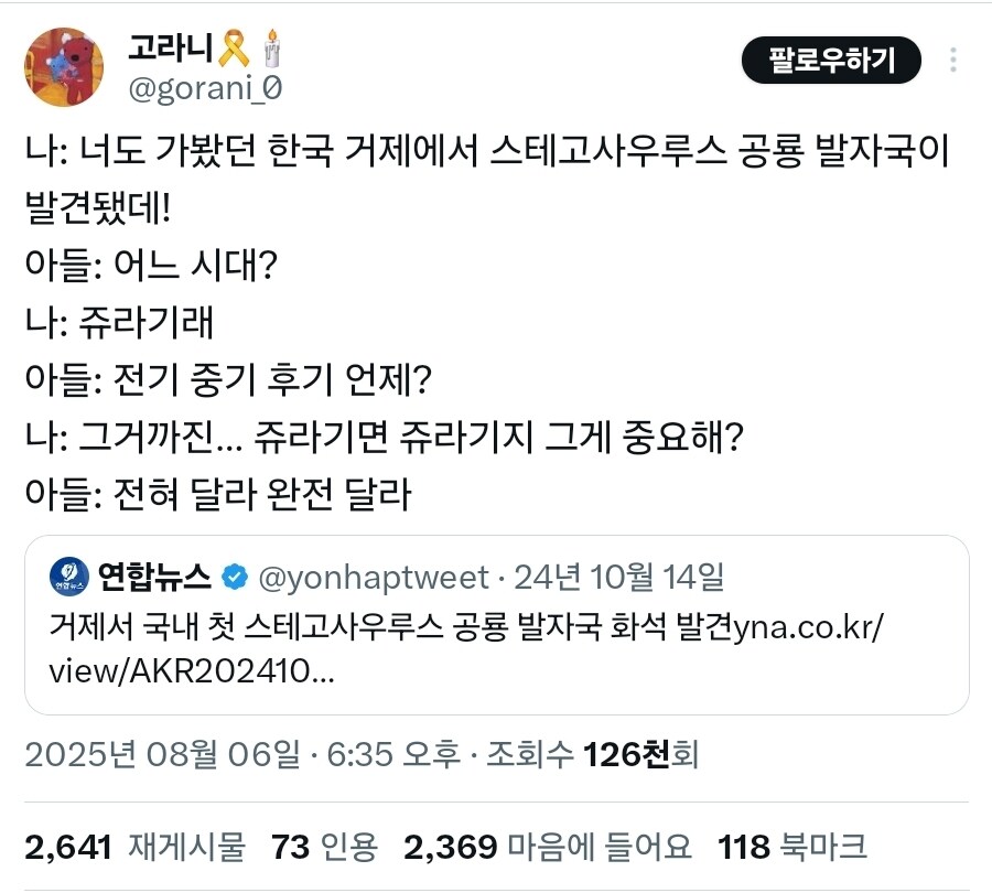 거제에서 스테고사우루스 발자국 나왔다니까 아들 반응_4.jpg