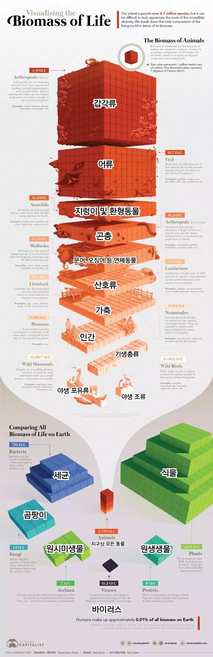 지구 생물들의 무게_1.jpg