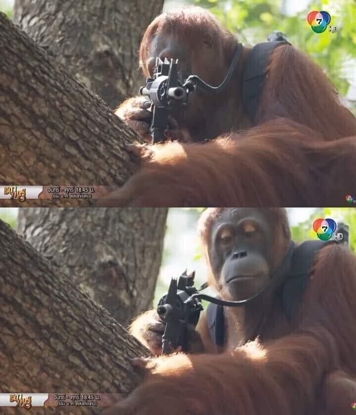 솔직히 평에 비해 나쁘지않은 영화들_4.jpg