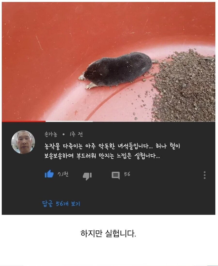 농작물 다 죽이는 아주 악독한 녀석들_1.jpg