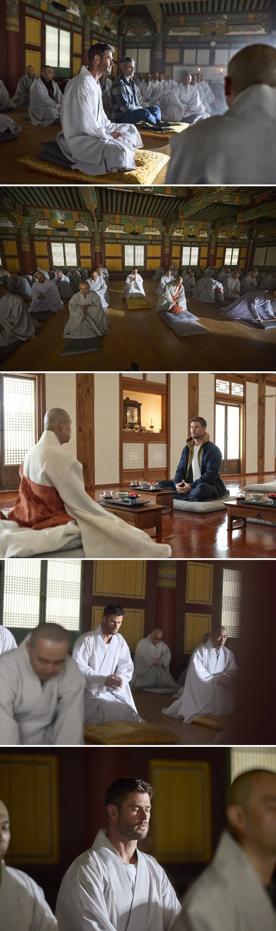 쥐도 새도 모르게 한국 왔다 간 크리스피 햄스터_1.png