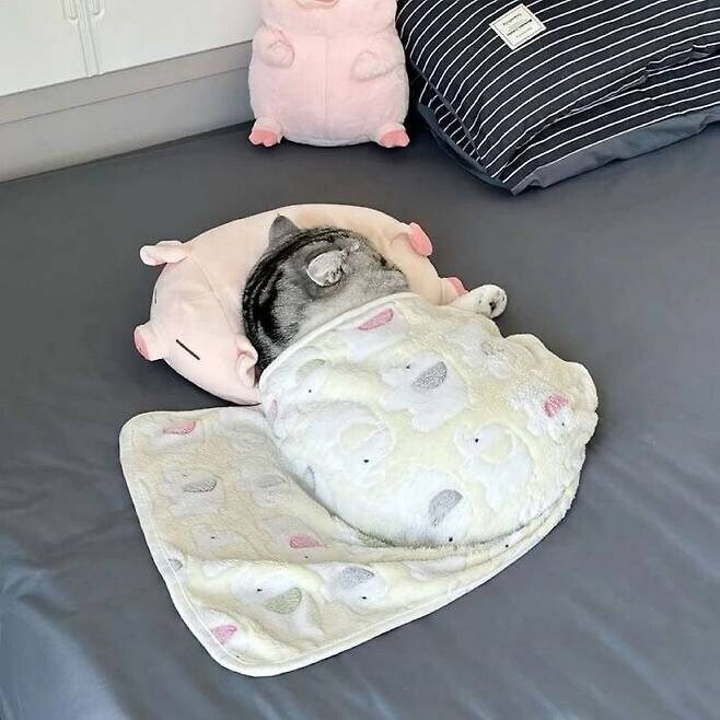 아기 베개랑 아기 이불이 남아서 물려받은 모습.jpg_1.jpg