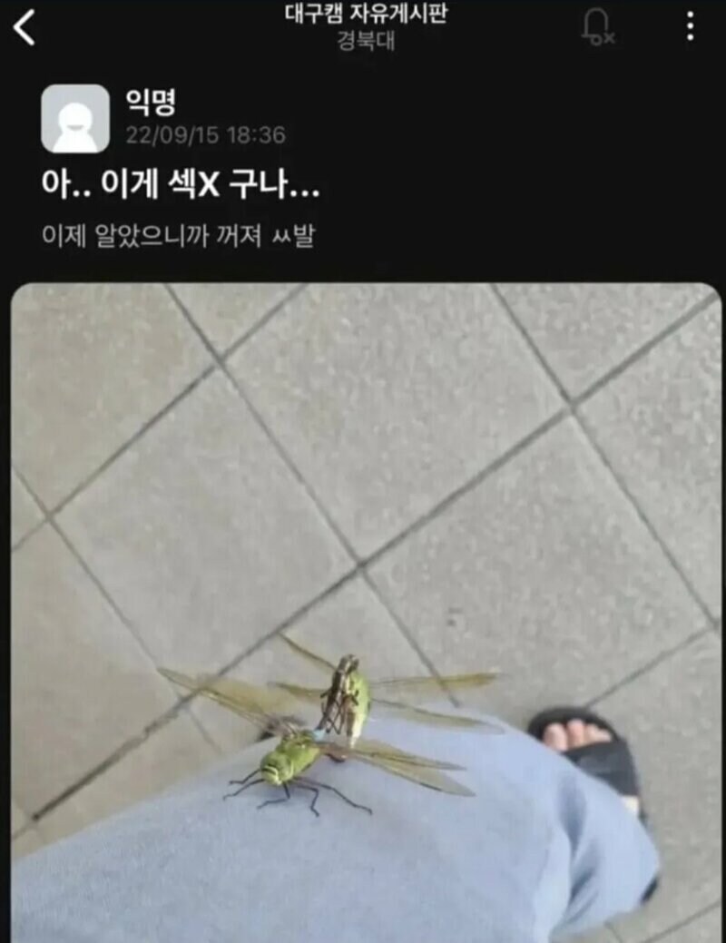 아... 이게 섹X구나..._2.jpg