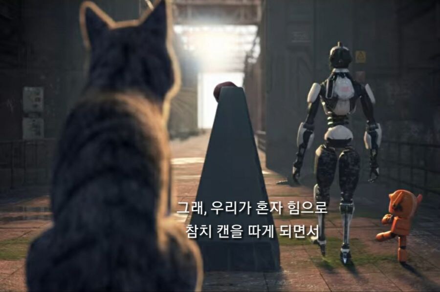 인류가 멸종한 이유.jpg_6.jpg