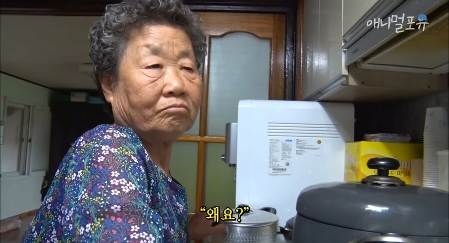 세상에서 제일 잔인한 병 jpg._2.png
