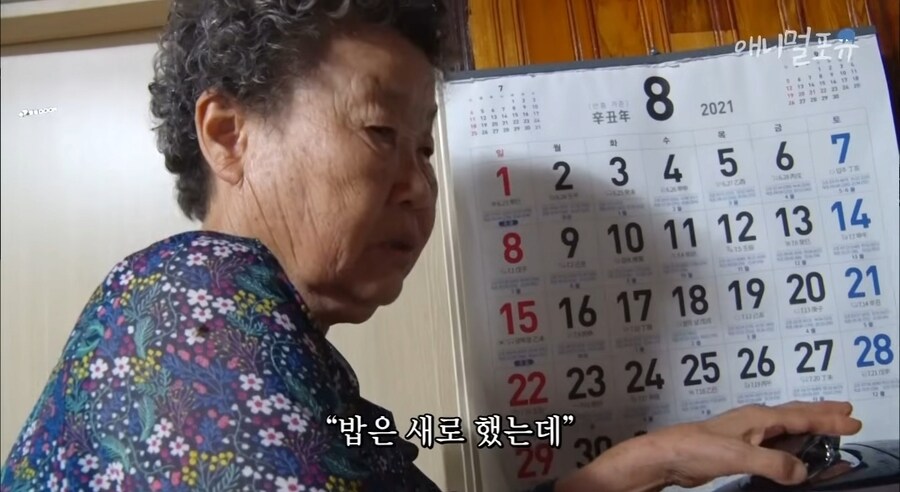 세상에서 제일 잔인한 병 jpg._5.png