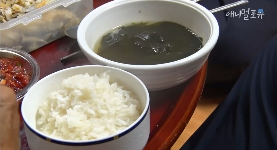 세상에서 제일 잔인한 병 jpg._28.png
