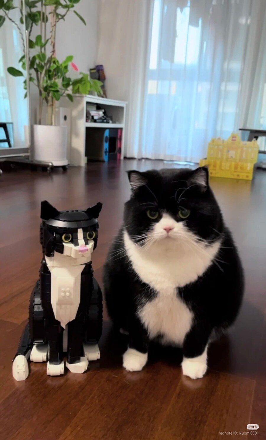 레고 고양이 고증 실패‍⬛_1.jpg