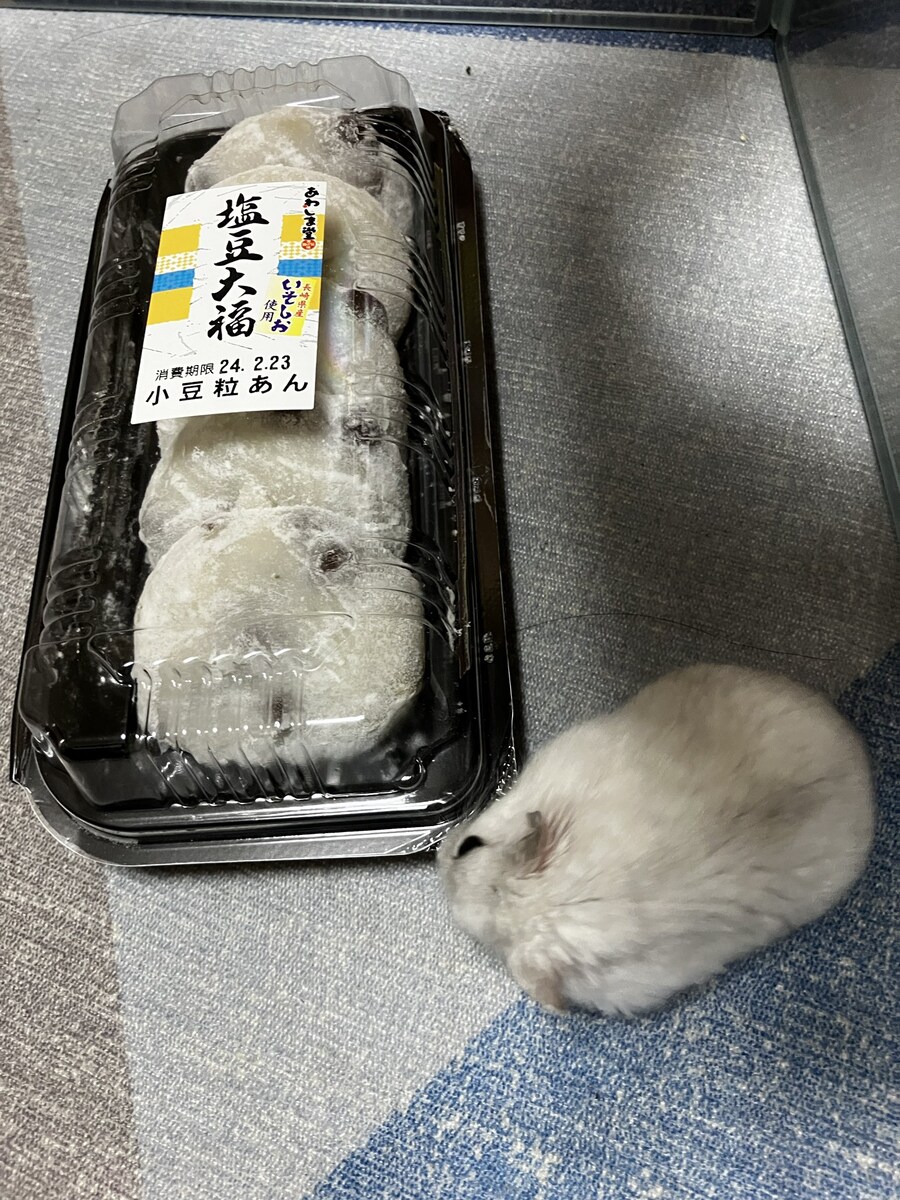 동료들에게 무슨짓을 한거야! .jpg_1.jpg