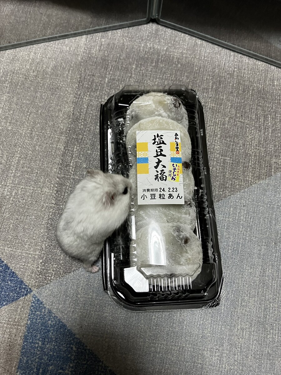 동료들에게 무슨짓을 한거야! .jpg_2.jpg