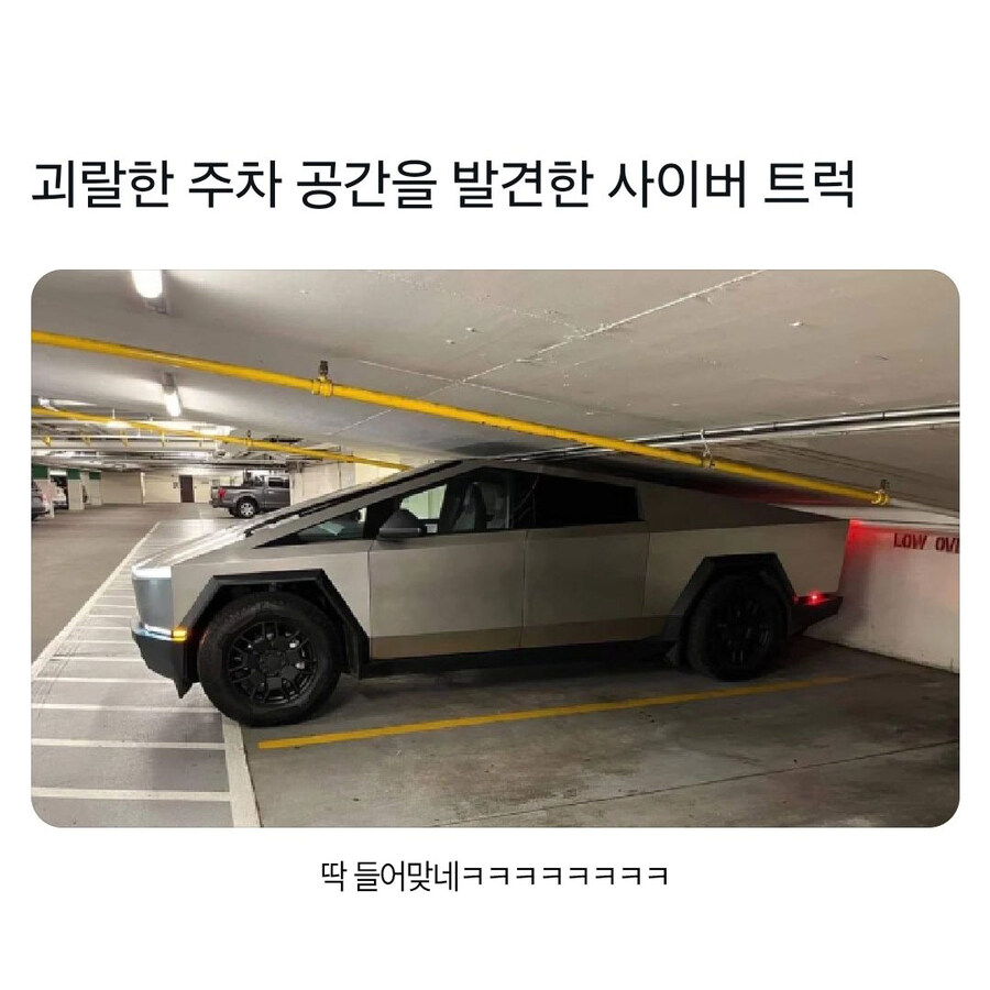 자기 몸에 딱 맞는 주차공간을 발견한 사이버 트럭.jpg_1.jpg
