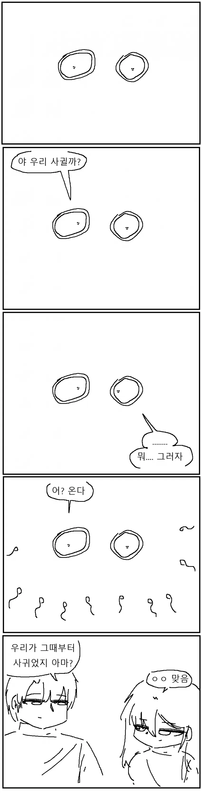 쌍둥이 남매 근친의 개연성_1.webp