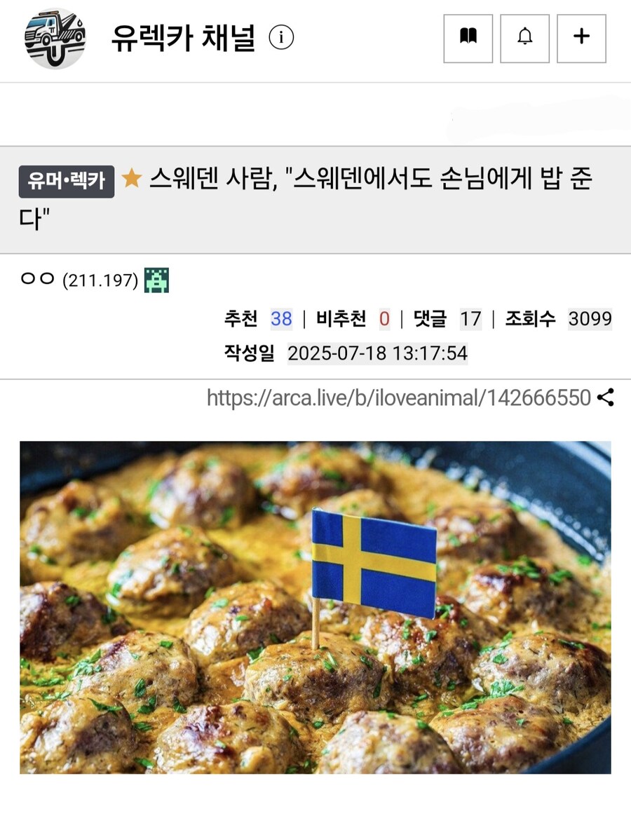 스웨덴 사람