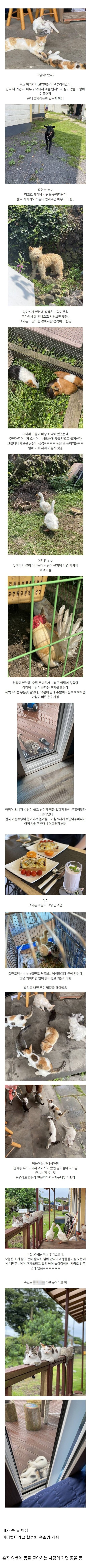 바이럴 아니라는 숙소 후기_1.jpg