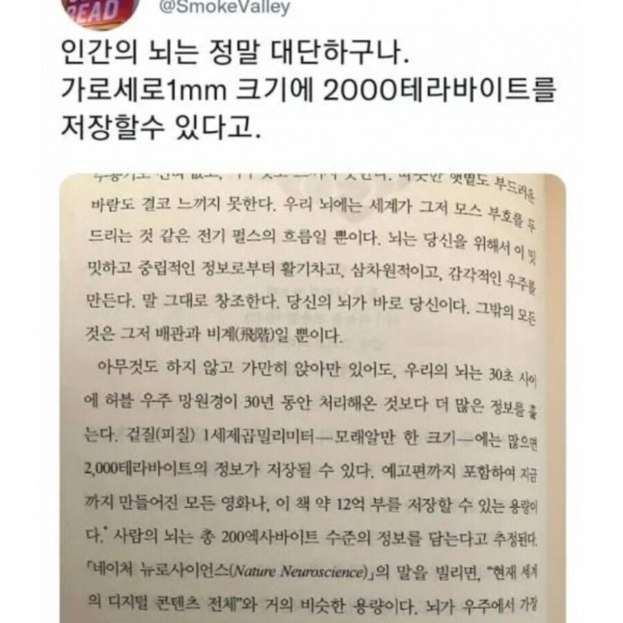 알고 보면 대단한 뇌의 능력.jpg_1.jpg