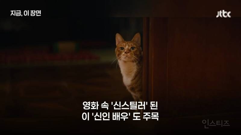좀비딸 출연진 중 가장 NG 많이 낸 배우.JPG_1.jpg