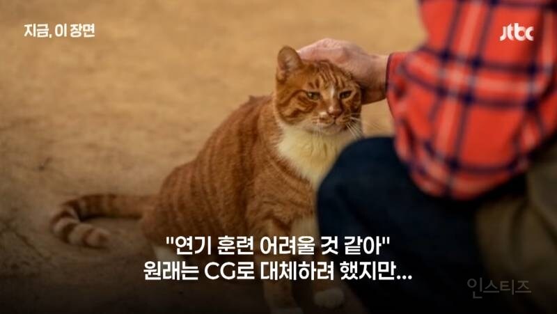 좀비딸 출연진 중 가장 NG 많이 낸 배우.JPG_3.jpg