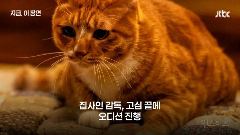 좀비딸 출연진 중 가장 NG 많이 낸 배우.JPG_4.jpg