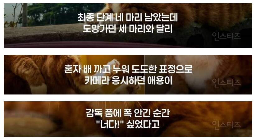 좀비딸 출연진 중 가장 NG 많이 낸 배우.JPG_5.png