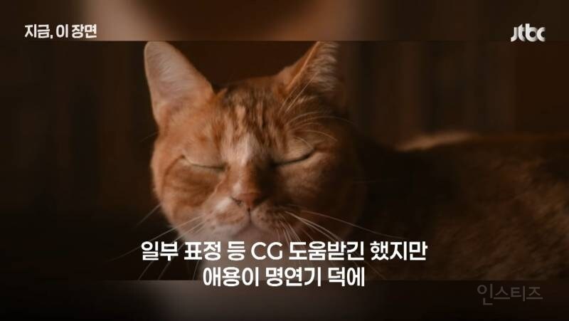 좀비딸 출연진 중 가장 NG 많이 낸 배우.JPG_6.jpg
