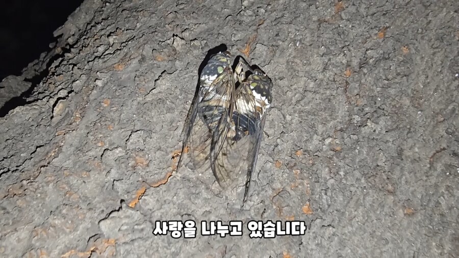 너무 야함_1.png