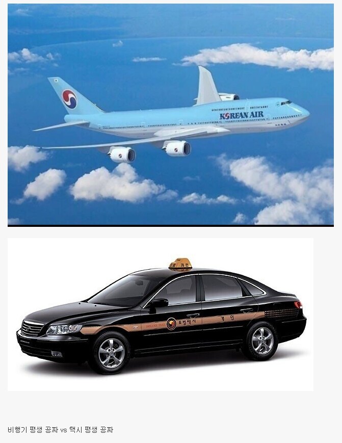 비행기 평생공짜 VS 택시 평생 공짜.jpg_1.png