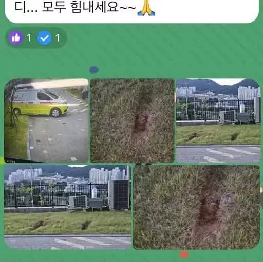 아파트에서 잔디가 훼손되었다는 이유로 소방서에 민원을 제기_3.webp