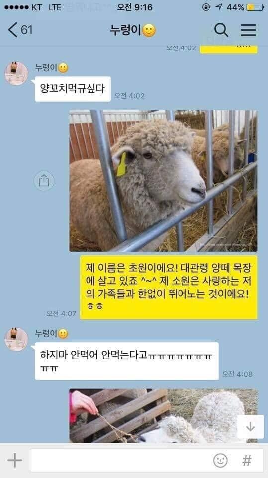 양고기 먹고싶다….jpg_1.jpg