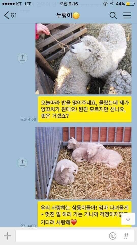 양고기 먹고싶다….jpg_2.jpg
