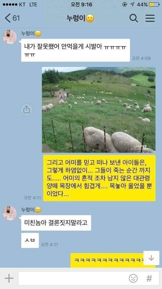 양고기 먹고싶다….jpg_3.jpg