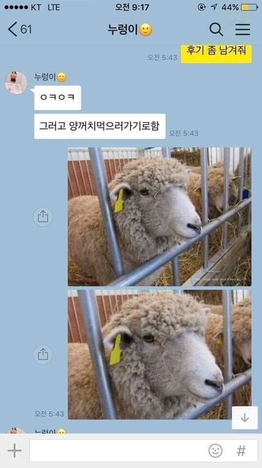 양고기 먹고싶다….jpg_5.jpg
