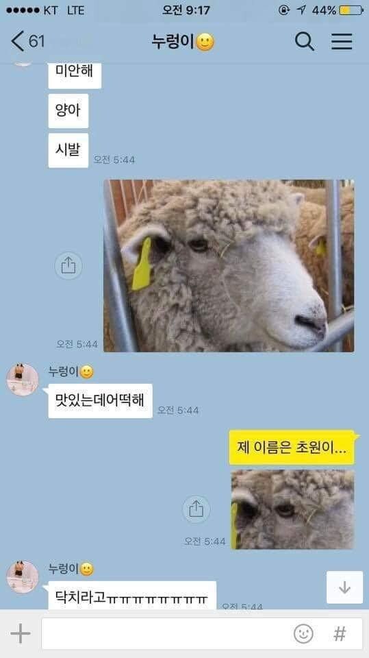 양고기 먹고싶다….jpg_6.jpg