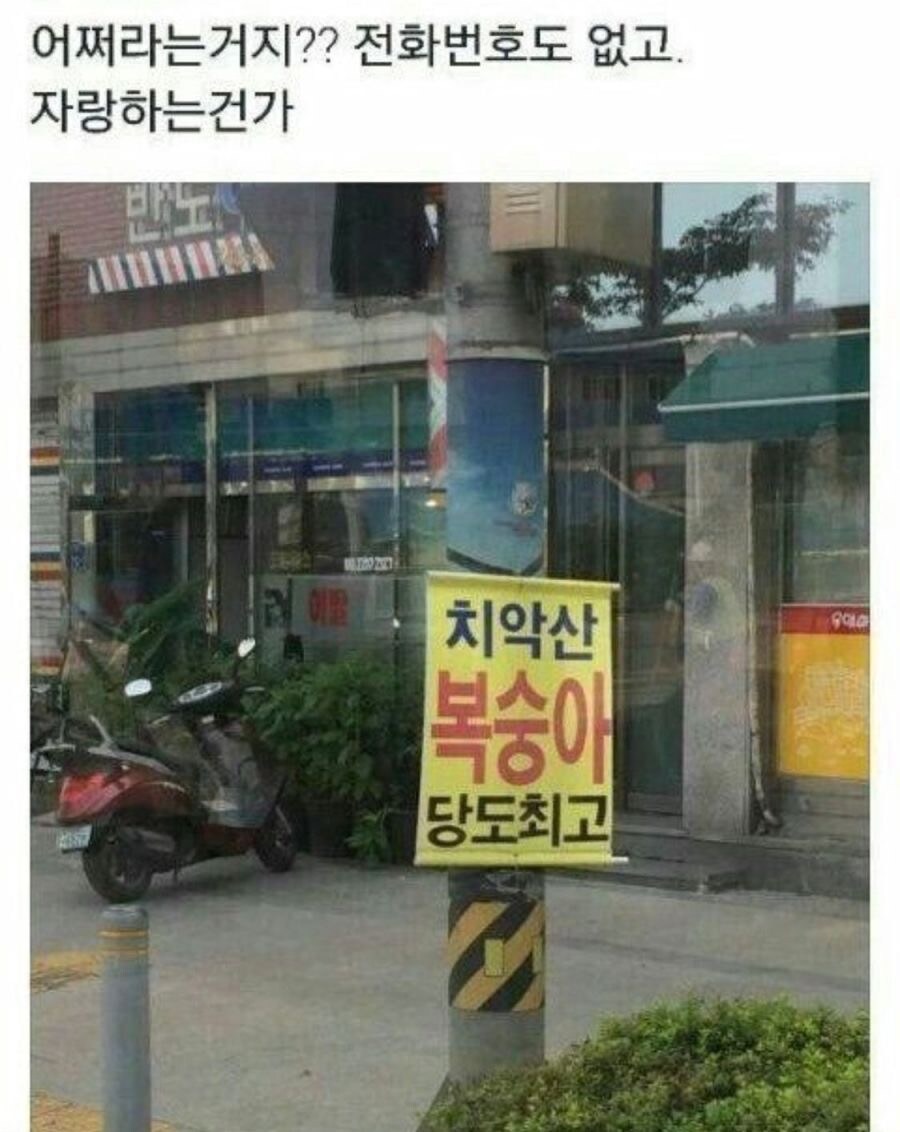 그냥 자랑이 하고 싶었을 뿐임.jpg_1.jpg